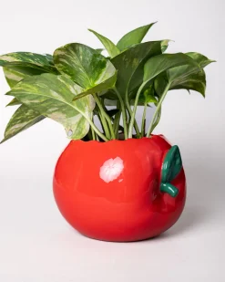 ban.do Apple Planter^ Home + Décor