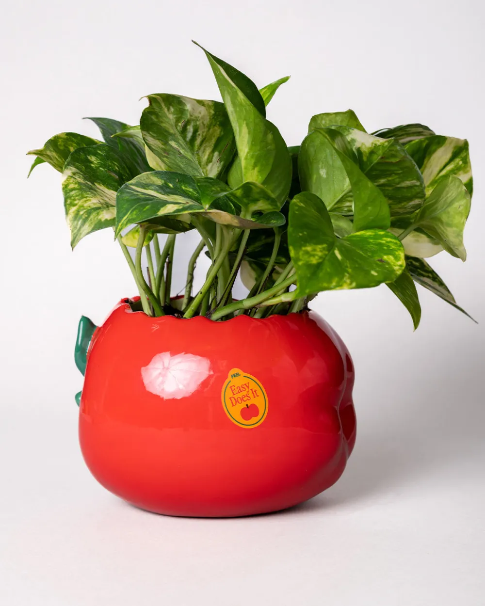 ban.do Apple Planter^ Home + Décor