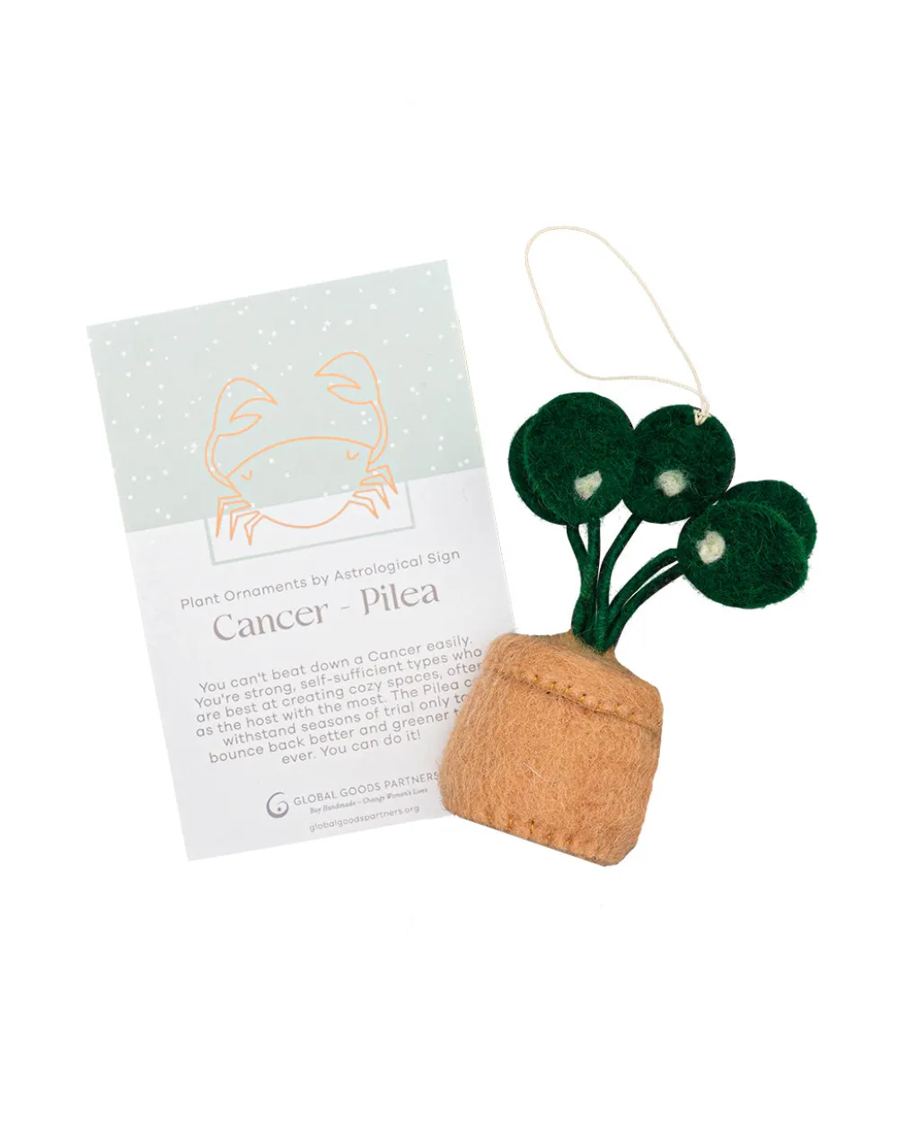 Global Goods Partners Astrology Plant Ornament^ Home + Décor