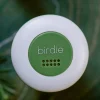 She's Birdie Birdie Disc - Forest^ Travel Accessories