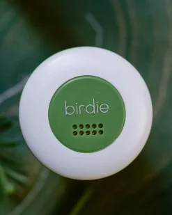 She's Birdie Birdie Disc - Forest^ Travel Accessories