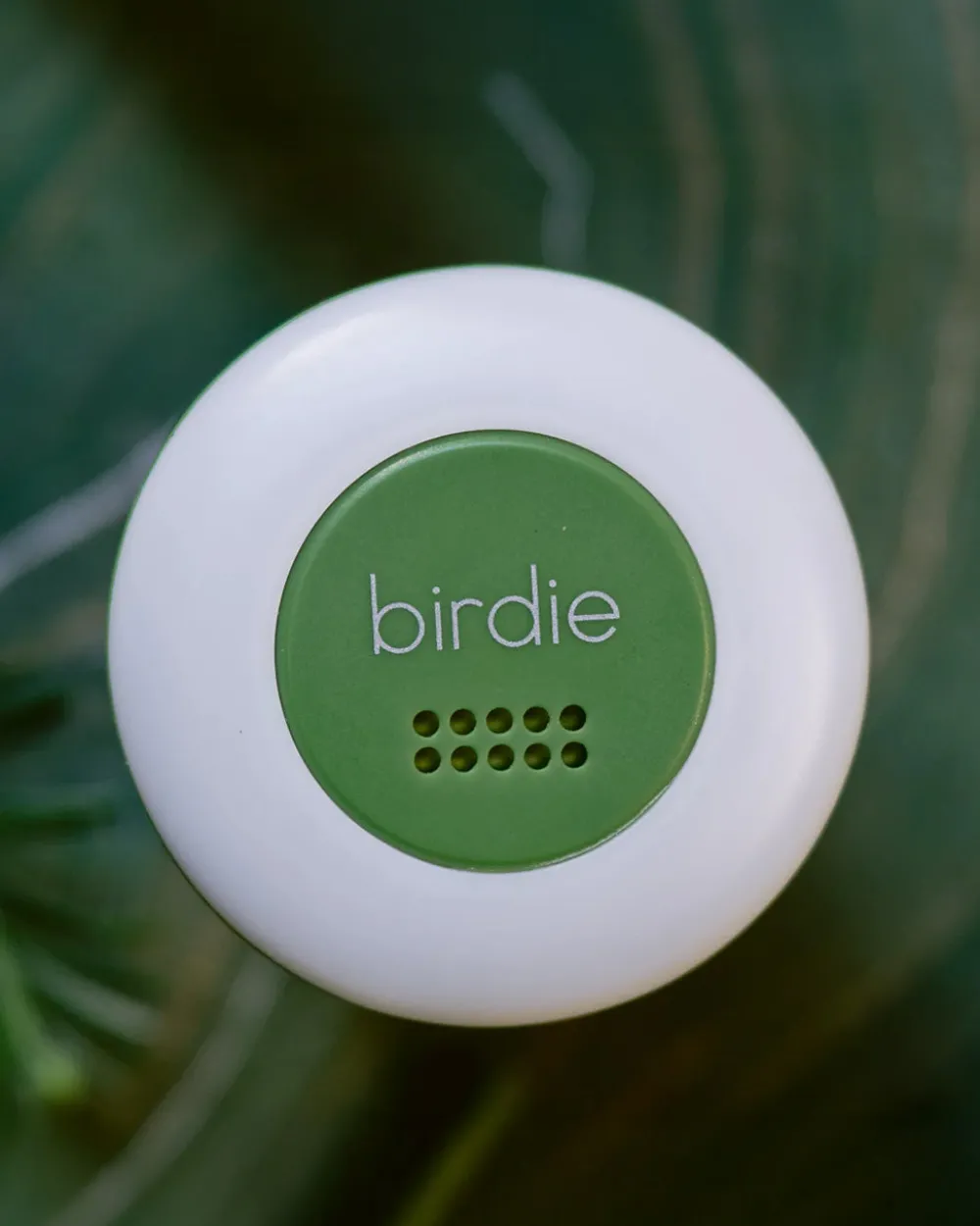 She's Birdie Birdie Disc - Forest^ Travel Accessories