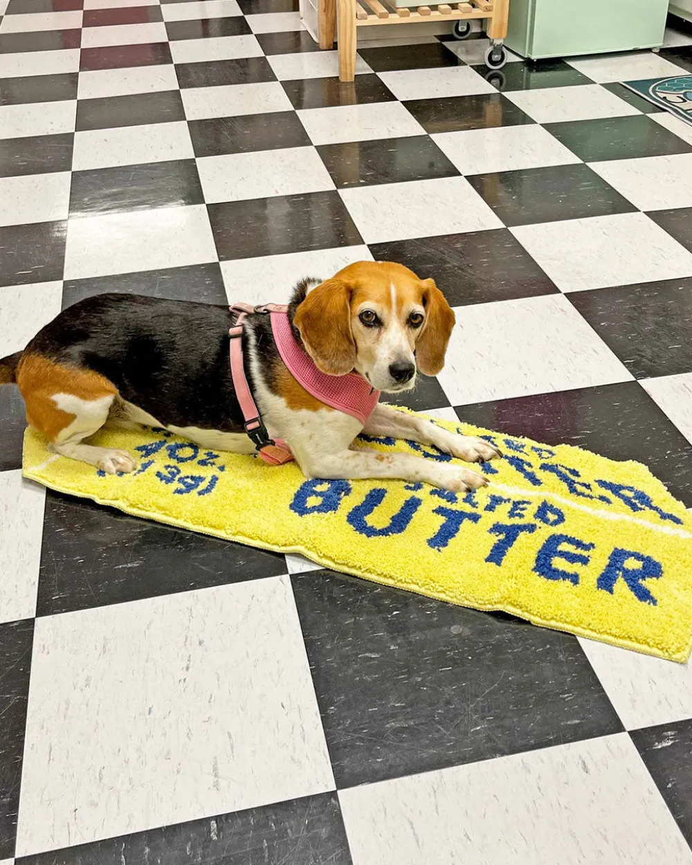 A Shop of Things Butter Rug^ Home + Décor
