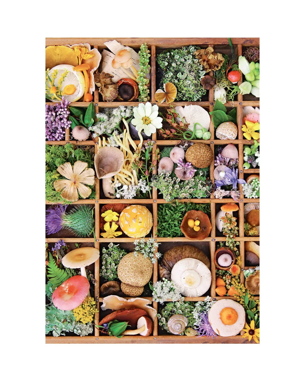 Insight Editions Flowers And Fungi - 500 Piece Puzzle^ Games + Activities