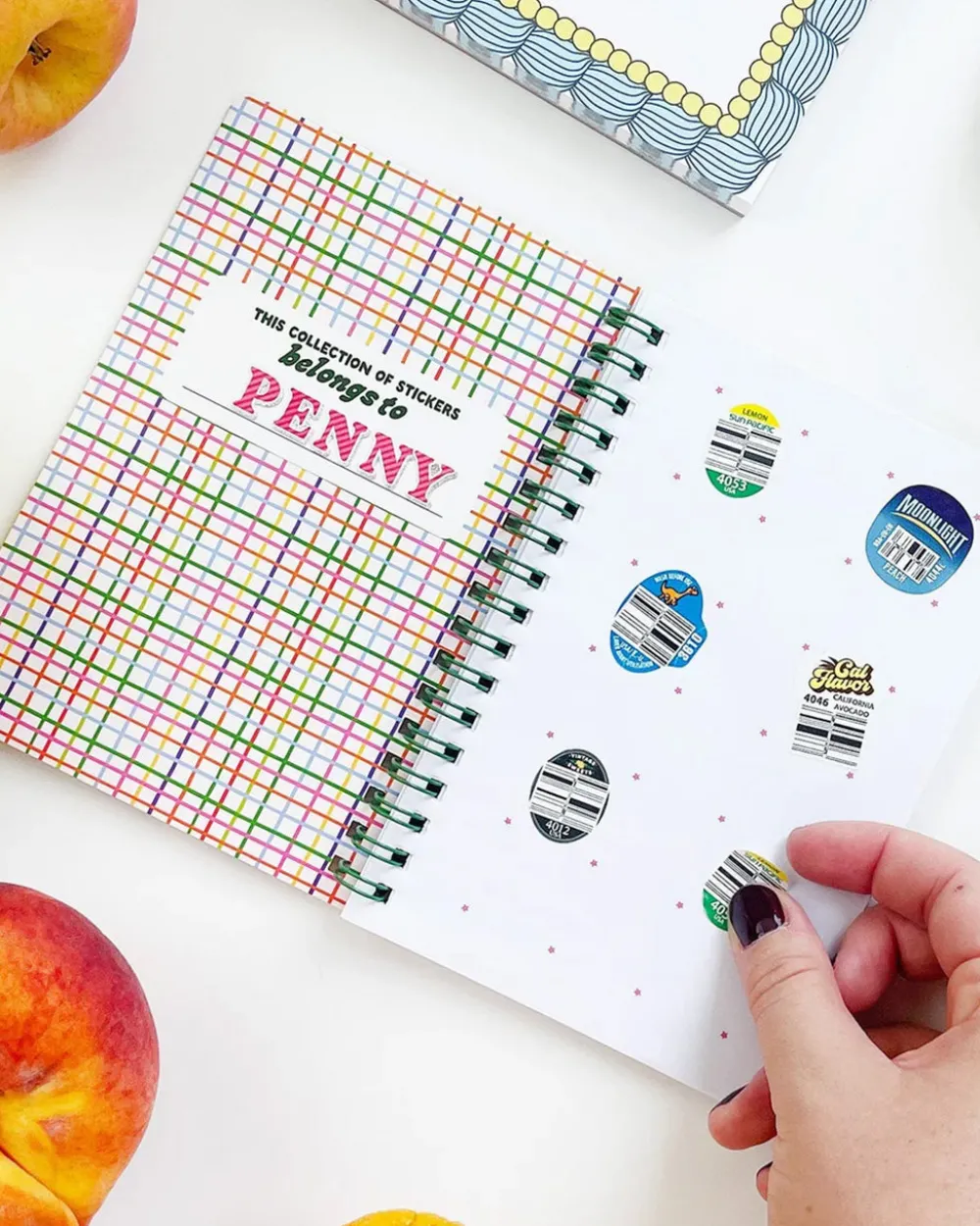 Pipsticks Fruit Sticker Journal Book^ Stickers + Tape