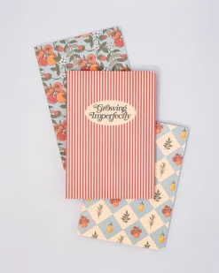 ban.do Hold That Thought Notebook Set - Growing Imperfectly^ Notebooks + Folders