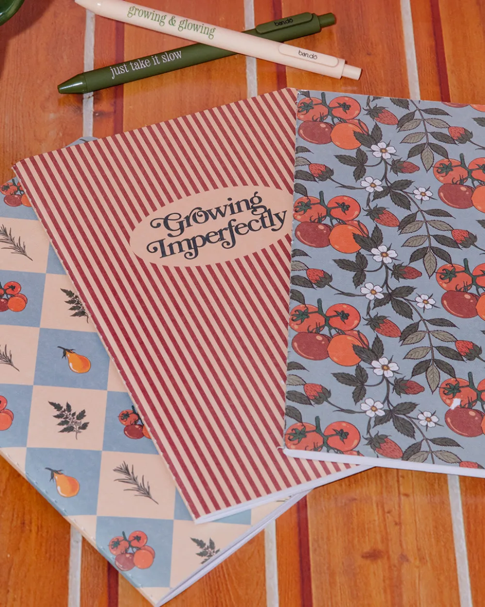 ban.do Hold That Thought Notebook Set - Growing Imperfectly^ Notebooks + Folders