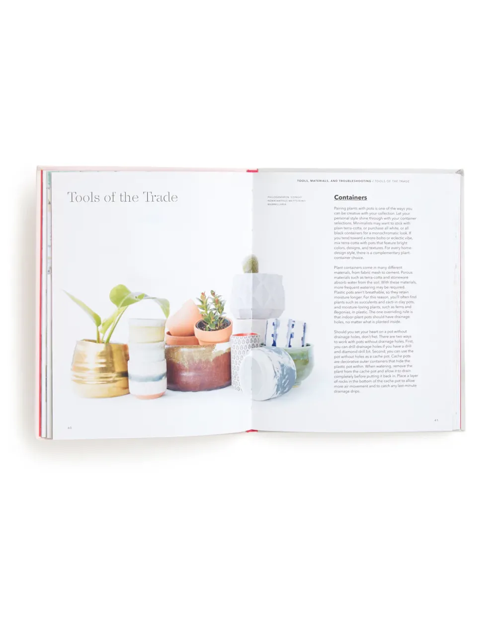 Morgan Doane How to Raise a Plant and Make It Love You Back^ Books