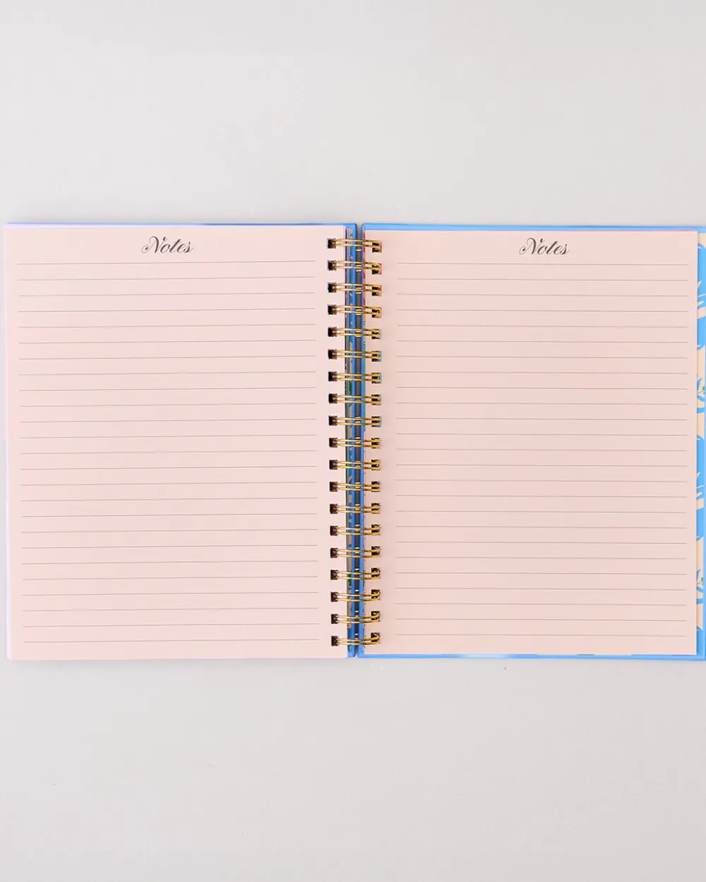 ban.do Large 17-Month Academic Planner - White Floral^ Planners + Calendars