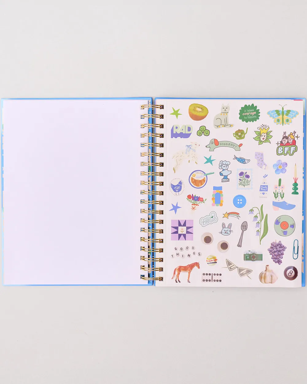 ban.do Large 17-Month Academic Planner - White Floral^ Planners + Calendars