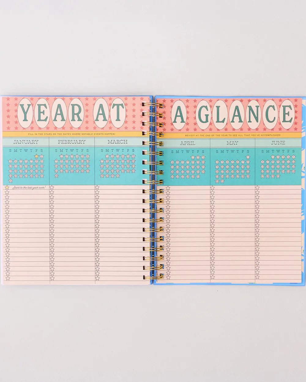 ban.do Large 17-Month Academic Planner - White Floral^ Planners + Calendars