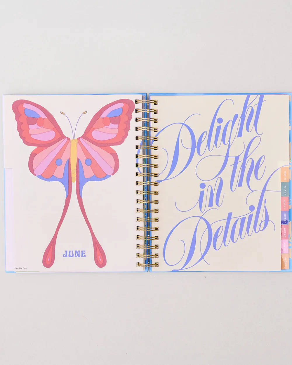 ban.do Large 17-Month Academic Planner - White Floral^ Planners + Calendars