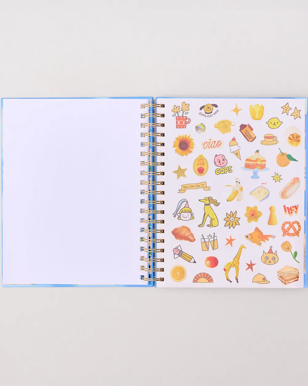 ban.do Large 17-Month Academic Planner - White Floral^ Planners + Calendars