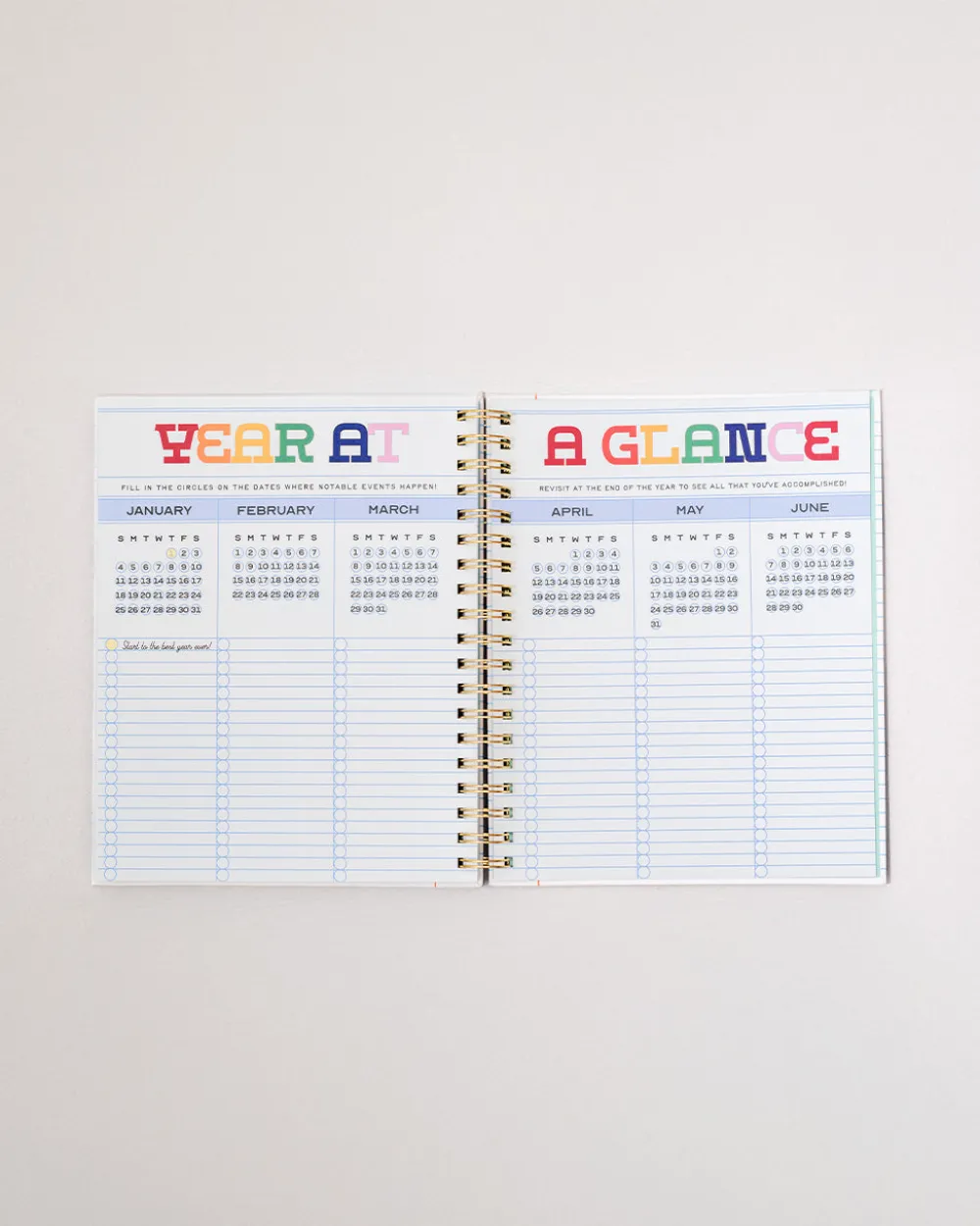 ban.do Large 12-Month Annual Planner - Ready for Anything^ Planners + Calendars