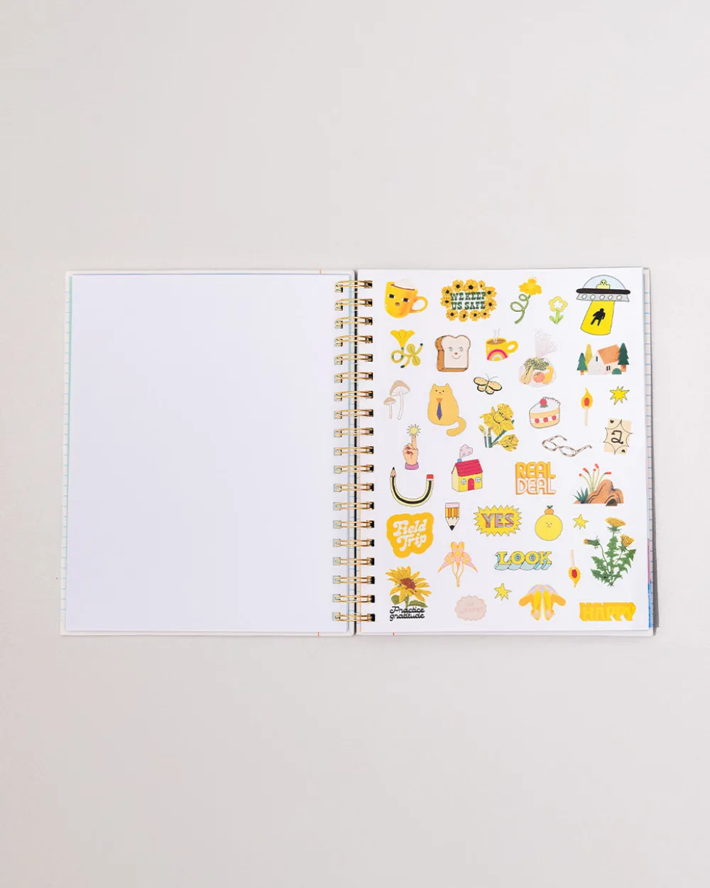 ban.do Large 12-Month Annual Planner - Ready for Anything^ Planners + Calendars