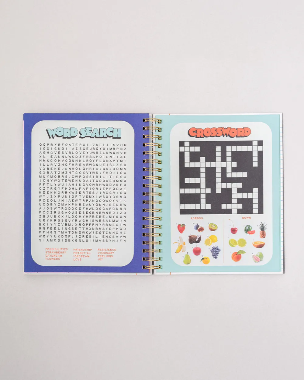 ban.do Large 12-Month Annual Planner - Ready for Anything^ Planners + Calendars