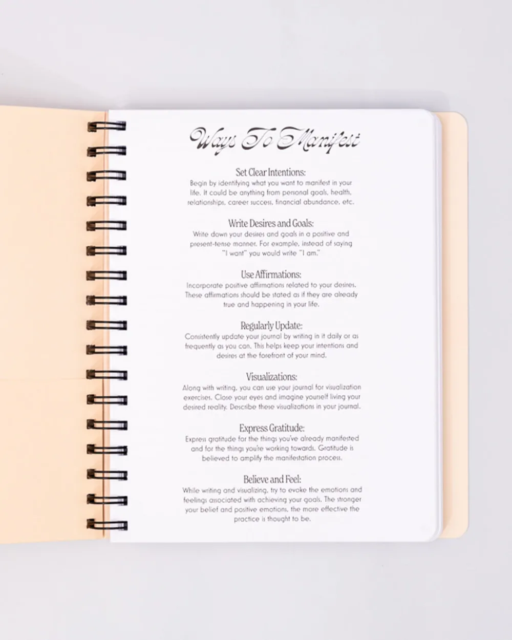 ban.do Manifestation Journal^ Planners + Calendars