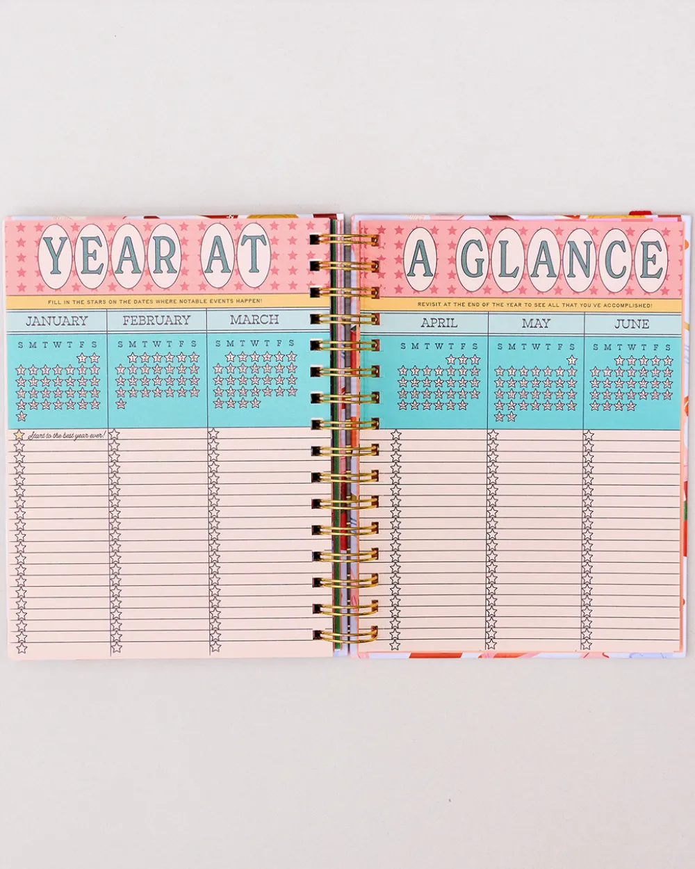 ban.do Medium 17-Month Academic Planner - Pink Tile Floral^ Planners + Calendars