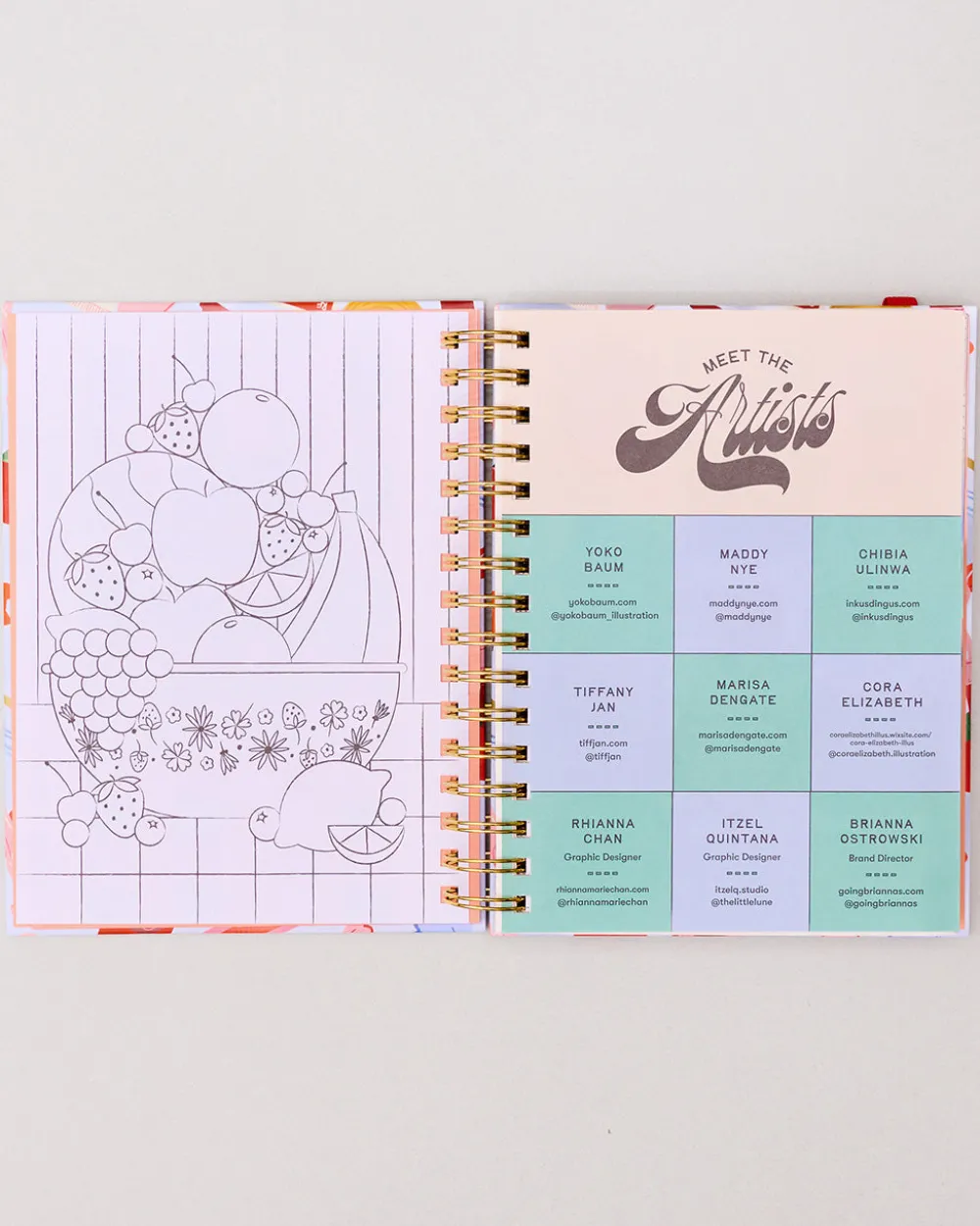 ban.do Medium 17-Month Academic Planner - Pink Tile Floral^ Planners + Calendars