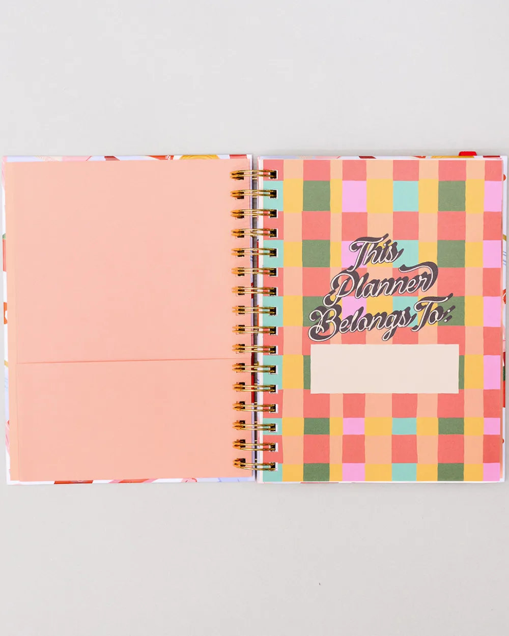 ban.do Medium 17-Month Academic Planner - Pink Tile Floral^ Planners + Calendars