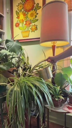 ban.do Plant Mister - Peach^ Home + Décor