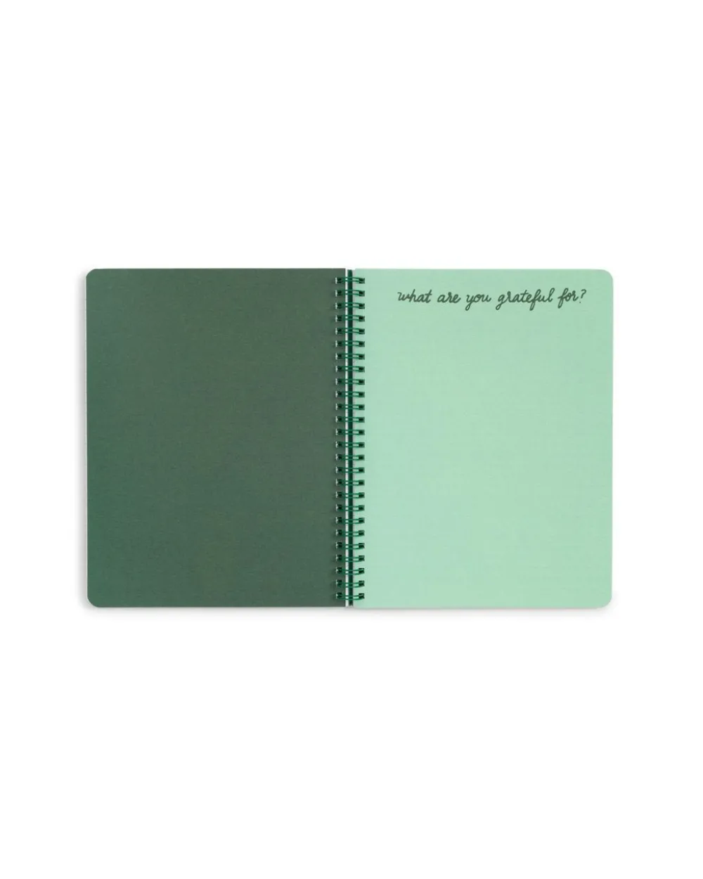 ban.do Rough Draft Mini Notebook - Emerald Super Bloom^ Notebooks + Folders