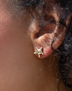 Peter & June Starfish Studs^ Jewelry
