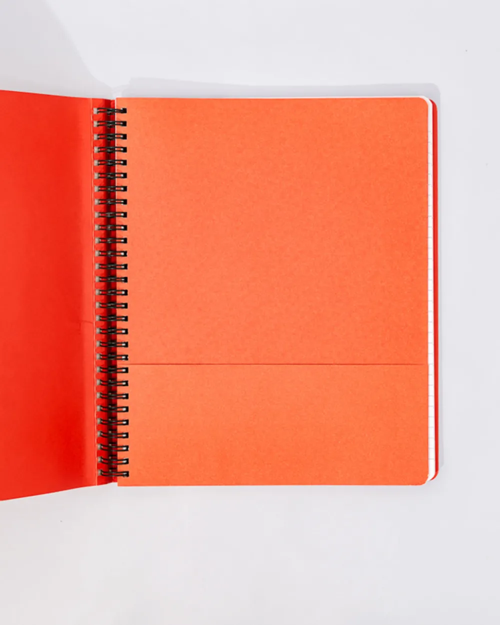 ban.do Waterproof Notebook - Planting Seeds of Possibility^ Notebooks + Folders