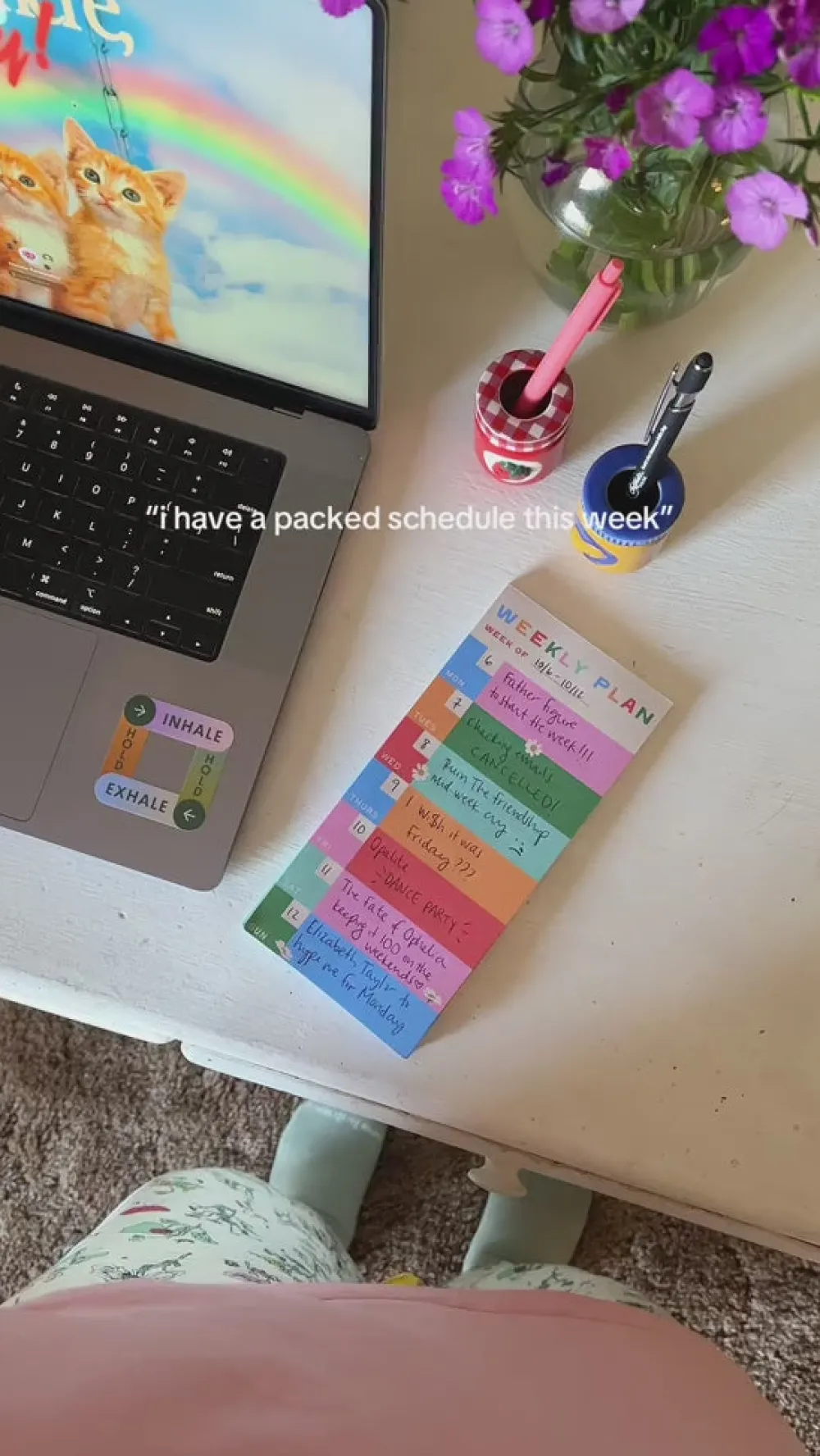 ban.do Weekly and Daily Planner Pads - I've Got Things to Do^ Planners + Calendars|Desk Accessories